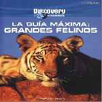 miniatura discovery-channel-la-guia-maxima-grandes-felinos-por-ronaldomake cover divx