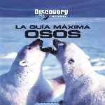 miniatura discovery-channel-la-guia-maxima-osos-por-ronaldomake cover divx