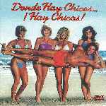 miniatura donde-hay-chicos-hay-chicas-por-chechelin cover divx