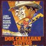 miniatura dos-cabalgan-juntos-por-agustin cover divx