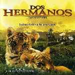 miniatura dos-hermanos-2004-por-warcond cover divx