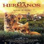 miniatura dos-hermanos-2004-v3-por-lefervi cover divx