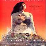 miniatura el-cielo-y-la-tierra-1993-por-mastercustom cover divx