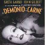 miniatura el-demonio-y-la-carne-por-pepetor cover divx