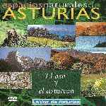miniatura espacios-naturales-de-asturias-07-el-oso-y-el-asturcon-por-chechelin cover divx