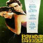 miniatura esplendor-en-la-yerba-v2-por-agustin cover divx