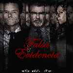 miniatura falsa-evidencia-2018-por-chechelin cover divx