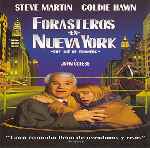 miniatura forasteros-en-nueva-york-por-franki cover divx