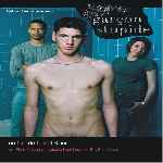 miniatura garcon-stupide-por-jrc cover divx