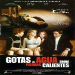 miniatura gotas-de-agua-sobre-piedras-calientes-por-el-verderol cover divx