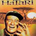 miniatura hatari-por-agustin cover divx