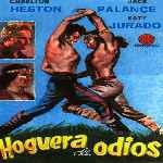 miniatura hoguera-de-odios-por-jonymas cover divx