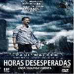 miniatura horas-desesperadas-2013-por-chechelin cover divx