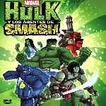 miniatura hulk-y-los-agentes-de-smash-por-chechelin cover divx
