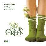 miniatura la-extrana-vida-de-timothy-green-por-chechelin cover divx