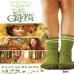 miniatura la-extrana-vida-de-timothy-green-v2-por-vigilantenocturno cover divx