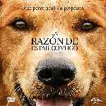 miniatura la-razon-de-estar-contigo-por-chechelin cover divx