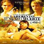 miniatura laberinto-de-sexo-y-muerte-por-chechelin cover divx
