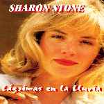 miniatura lagrimas-en-la-lluvia-por-warcond cover divx