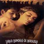 miniatura largo-domingo-de-noviazgo-v2-por-rege cover divx