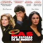 miniatura las-dos-esposas-de-mi-marido-por-josej5 cover divx