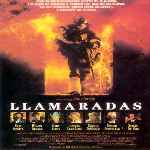 miniatura llamaradas-por-el-verderol cover divx