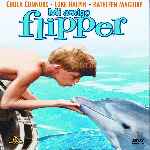 miniatura mi-amigo-flipper-por-chechelin cover divx