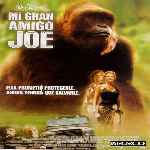 miniatura mi-gran-amigo-joe-por-el-verderol cover divx