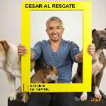 miniatura national-geographic-cesar-al-rescate-por-chechelin cover divx
