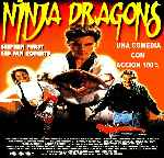 miniatura ninja-dragons-por-frances cover divx
