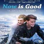 miniatura now-is-good-por-chechelin cover divx