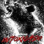 miniatura oso-intoxicado-por-mrandrewpalace cover divx
