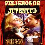 miniatura peligros-de-juventud-por-chechelin cover divx