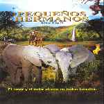 miniatura pequenos-hermanos-por-jonymas cover divx