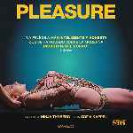 miniatura pleasure-por-chechelin cover divx