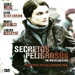 miniatura secretos-peligrosos-2010-por-chechelin cover divx