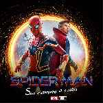 miniatura spider-man-sin-camino-a-casa-por-tonype cover divx