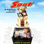miniatura spot-por-el-verderol cover divx