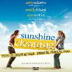 miniatura sunshine-cleaning-por-chechelin cover divx
