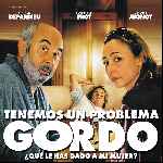 miniatura tenemos-un-problema-gordo-por-jldec cover divx