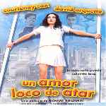 miniatura un-amor-loco-de-atar-por-el-verderol cover divx