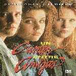miniatura un-crimen-entre-amigas-por-chechelin cover divx