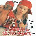 miniatura un-ladron-de-cuatro-manos-por-chechelin cover divx