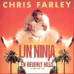 miniatura un-ninja-en-beverly-hills-por-danigol cover divx