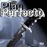 miniatura un-plan-perfecto-2010-por-chechelin cover divx