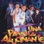 miniatura una-pandilla-alucinante-por-el-verderol cover divx