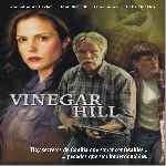 miniatura vinegar-hill-por-jrc cover divx