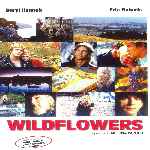 miniatura wildflowers-por-john-smith cover divx