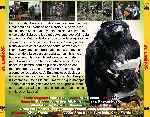 miniatura 4-lions-por-chechelin cover divx