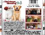 miniatura a-christmas-wedding-tail-por-jonander1 cover divx